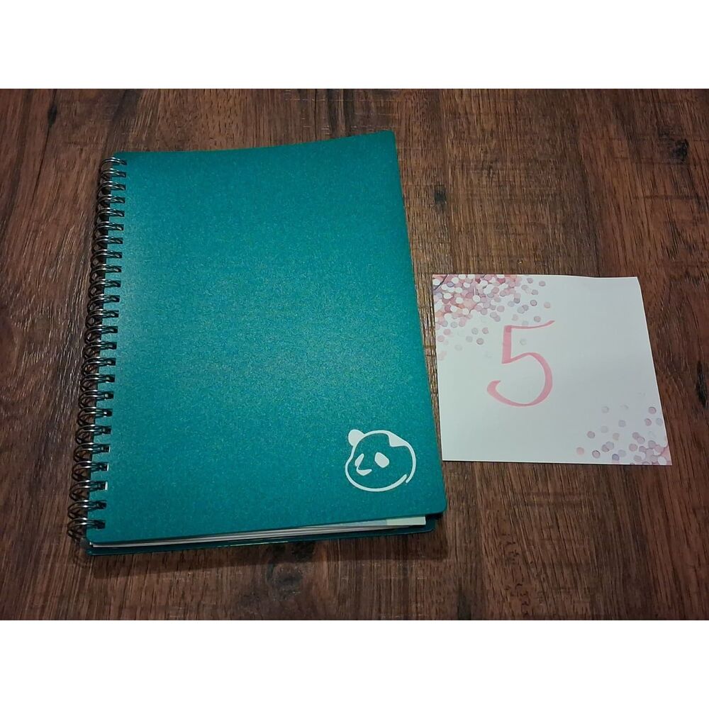 Unused Panda Planner Daily 2.0 in Green - Plastic Cover Spiral Daily Planner